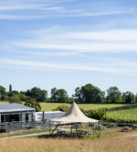 Albourne Estate Multi Vintage Sparkling Rosé (6 Bottles) Albourne, West Sussex, England - Image 4