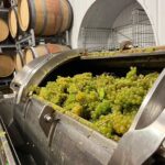Blackbook "Nightjar" Reserve Pinot Noir 2019 (6 Bottles) Battersea, London, England - Image 3