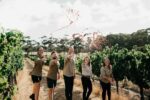 Cape Mentelle Sixteen Hectares Shiraz (6 Bottles) Margaret River, Western Australia - Image 7