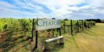 Chafor Estate Red Stag Blend (6 Bottles) Gawcott, Buckinghamshire, England - Image 2