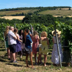 Chartham Rosé de Noir Sparkling 2021 (6 Bottles) Canterbury, Kent, England - Image 8