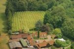 Chiltern Valley English Sparkling Wine (6 Bottles) Henley-On-Thames, Oxfordshire, England - Image 3