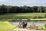 Chiltern Valley English Sparkling Wine (6 Bottles) Henley-On-Thames, Oxfordshire, England - Image 10