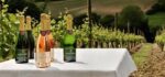 Coates and Seely Brut Reserve NV (6 Bottles) Whitchurch, Hampshire, England - Image 7