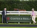 Coates and Seely Brut Reserve NV (6 Bottles) Whitchurch, Hampshire, England - Image 8