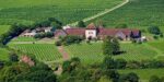 Denbies Cubitt Blanc de Noirs 2015 (6 Bottles) Dorking, Surrey, England - Image 3