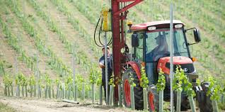 Dillions Vineyard Pinot Rosé 2023 (6 Bottles) Staplefield, West Sussex, England - Image 5