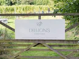 Dillions Vineyard Pinot Rosé 2023 (6 Bottles) Staplefield, West Sussex, England - Image 2