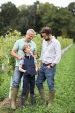 Dillions Vineyard Pinot Rosé 2023 (6 Bottles) Staplefield, West Sussex, England - Image 8