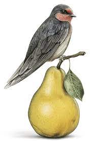 Dillions Vineyard Pinot Rosé 2023 (6 Bottles) Staplefield, West Sussex, England - Image 9