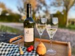 Foxbury Fields Ortega 2019 (6 Bottles) Ledbury, Herefordshire, England - Image 2
