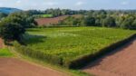 Foxbury Fields Ortega 2019 (6 Bottles) Ledbury, Herefordshire, England - Image 9