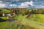 Furleigh Estate Pinot Rosé 2023 (6 Bottles) Bridport, Dorset, England - Image 2