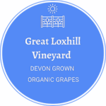 Great Loxhill Vineyard Solaris 2023 (6 Bottles) Exmouth, Devon, England - Image 2