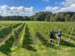 Goodworth 2019 Brut Classic Blend (6 Bottles) Andover, Hampshire, England - Image 6
