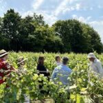 Goodworth 2019 Brut Classic Blend (6 Bottles) Andover, Hampshire, England - Image 8