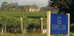 Hambledon Classic Cuvée Rosé (6 Bottles) Hambledon, Hampshire, England - Image 2