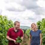 Harrow & Hope Blanc de Noirs 2019 (6 Bottles) Marlow, Buckinghamshire, England - Image 4