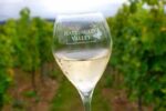 Hattingley Valley Kings Rosé 2015 (6 Bottles) Alresford, Hampshire, England - Image 2
