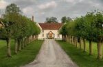 Hendred Brut Rosé (6 Bottles) Wantage, Oxfordshire, England - Image 6