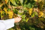 Henners Vintage 2018 (6 Bottles) Herstmonceux, East Sussex, England - Image 5
