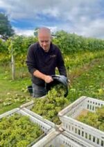 Kerry Vale Ridgeway White Blend (6 Bottles) Pentreheying, Shropshire, England - Image 5
