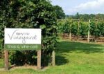 Kerry Vale Ridgeway White Blend (6 Bottles) Pentreheying, Shropshire, England - Image 2