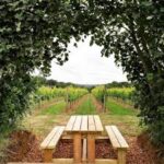 Langham Pinot Noir 2019 (6 Bottles) Dorchester, Dorset, England - Image 4