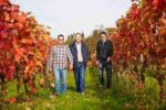 Litmus White Pinot 2018 (6 Bottles) Dorking, Surrey, England - Image 8