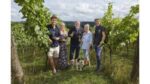 Litmus White Pinot 2018 (6 Bottles) Dorking, Surrey, England - Image 5