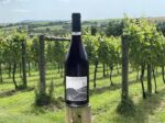Little Waddon Col Fondo ‘Rosa’ Sparkling Pink 2022 (6 Bottles) Waddon, Dorset, England - Image 10