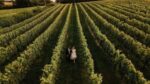 Little Waddon Col Fondo ‘Rosa’ Sparkling Pink 2022 (6 Bottles) Waddon, Dorset, England - Image 9