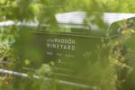 Little Waddon Col Fondo ‘Rosa’ Sparkling Pink 2022 (6 Bottles) Waddon, Dorset, England - Image 2