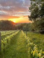 Maud Heath Marden Valley Red Blend (6 Bottles) Calne, Wiltshire, England - Image 2