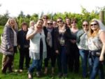 Maud Heath Marden Valley Red Blend (6 Bottles) Calne, Wiltshire, England - Image 9