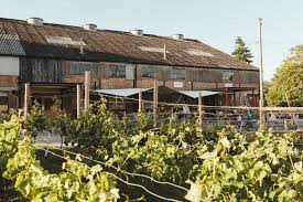 Mereworth White From White 2021 (6 Bottles) Maidstone, Kent, England - Image 9