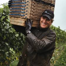 Mereworth White From White 2021 (6 Bottles) Maidstone, Kent, England - Image 3