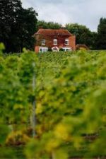 Missing Gate Sauvignon Blanc 2022 (6 Bottles) Chelmsford, Hampshire, England - Image 6