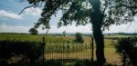 Missing Gate Sauvignon Blanc 2022 (6 Bottles) Chelmsford, Hampshire, England - Image 3