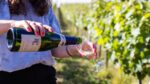 Minerva Sparkling Wine 2019 (6 bottles) Bath, Somerset, England - Image 7