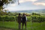 Montgomery Vineyard Rondo (6 Bottles) Montgomery, Powys, Wales - Image 6