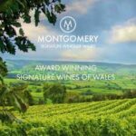 Montgomery Vineyard Rondo (6 Bottles) Montgomery, Powys, Wales - Image 2