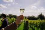 Nyetimber Multi-Vintage Classic Cuvee (6 Bottles) West Chiltington, West Sussex, England - Image 7