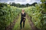 Nyetimber Multi-Vintage Classic Cuvee (6 Bottles) West Chiltington, West Sussex, England - Image 5