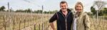 Raimes Demi-Sec 2017 (6 Bottles) Alresford, Hampshire, England - Image 7