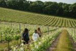 Rathfinny Blanc de Noirs 2019 (6 Bottles) Polegate, East Sussex, England - Image 8