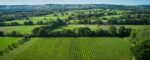 Ridgeview Sparkling Red Reserve (6 Bottles) Ditchling Common, East Sussex, England - Image 10