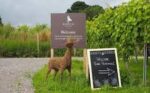 Roebuck Classic Cuvée 2018 (6 Bottles) Petworth, West Sussex, England - Image 2