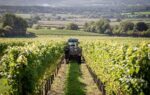 Roebuck Classic Cuvée 2018 (6 Bottles) Petworth, West Sussex, England - Image 9