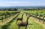 Roebuck Classic Cuvée 2018 (6 Bottles) Petworth, West Sussex, England - Image 5